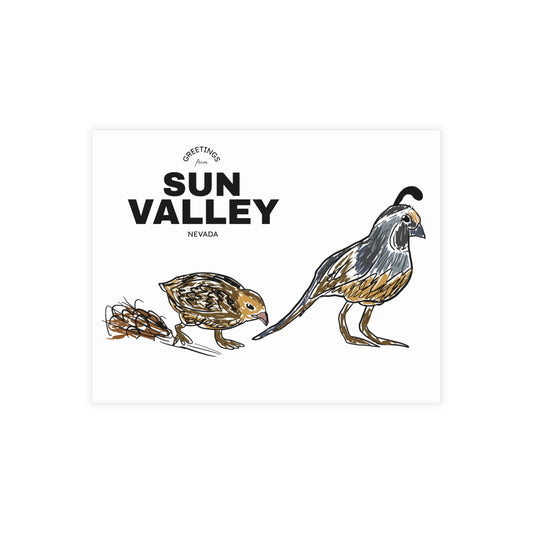 Postcard Bundles (envelopes not included)